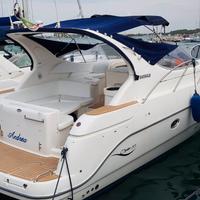 Sessa oyster 35