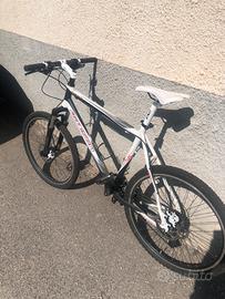 bicicletta mountainbike