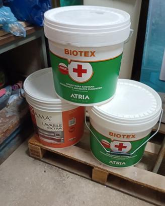 Idropittura sanitaria ANTIMUFFA
