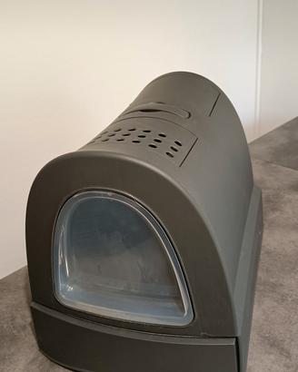 lettiera per gatti 