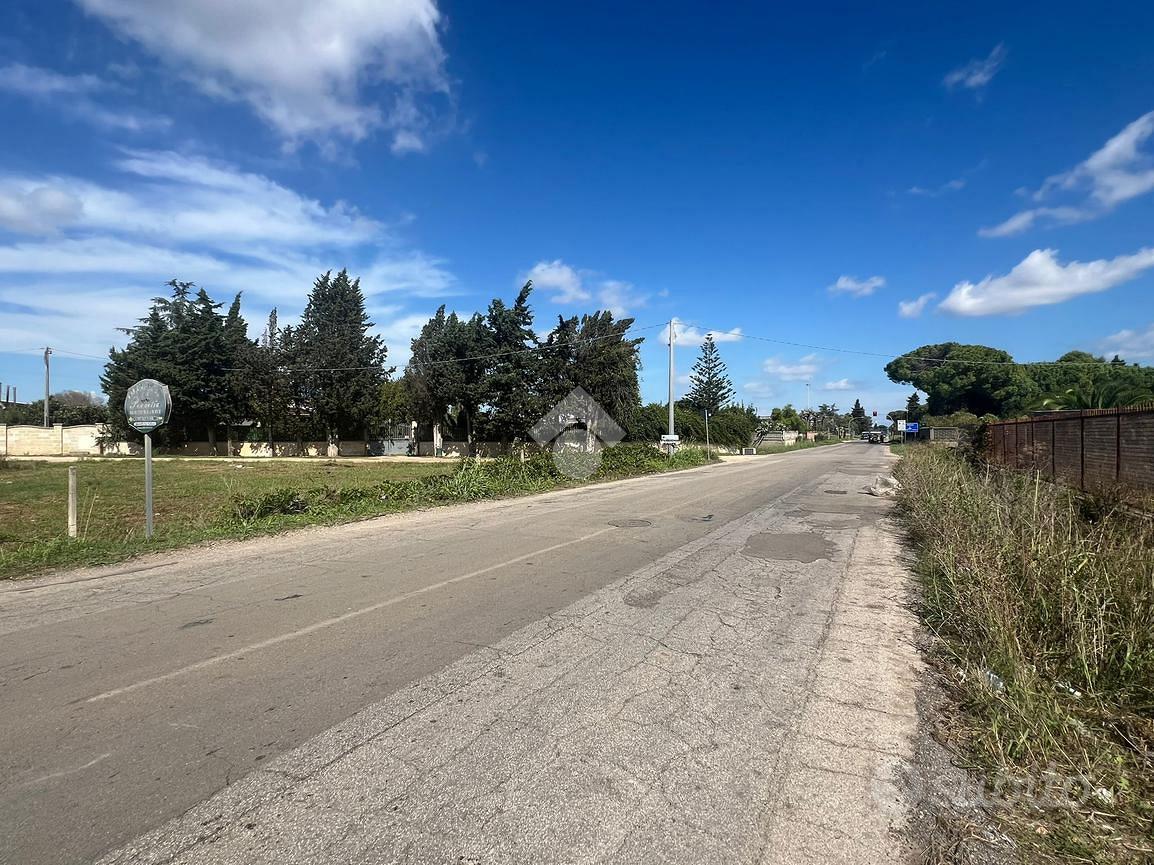 TERRENO A SAN PIETRO VERNOTICO - Vista 3