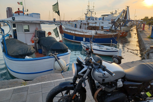 Triumph Street Twin 2019