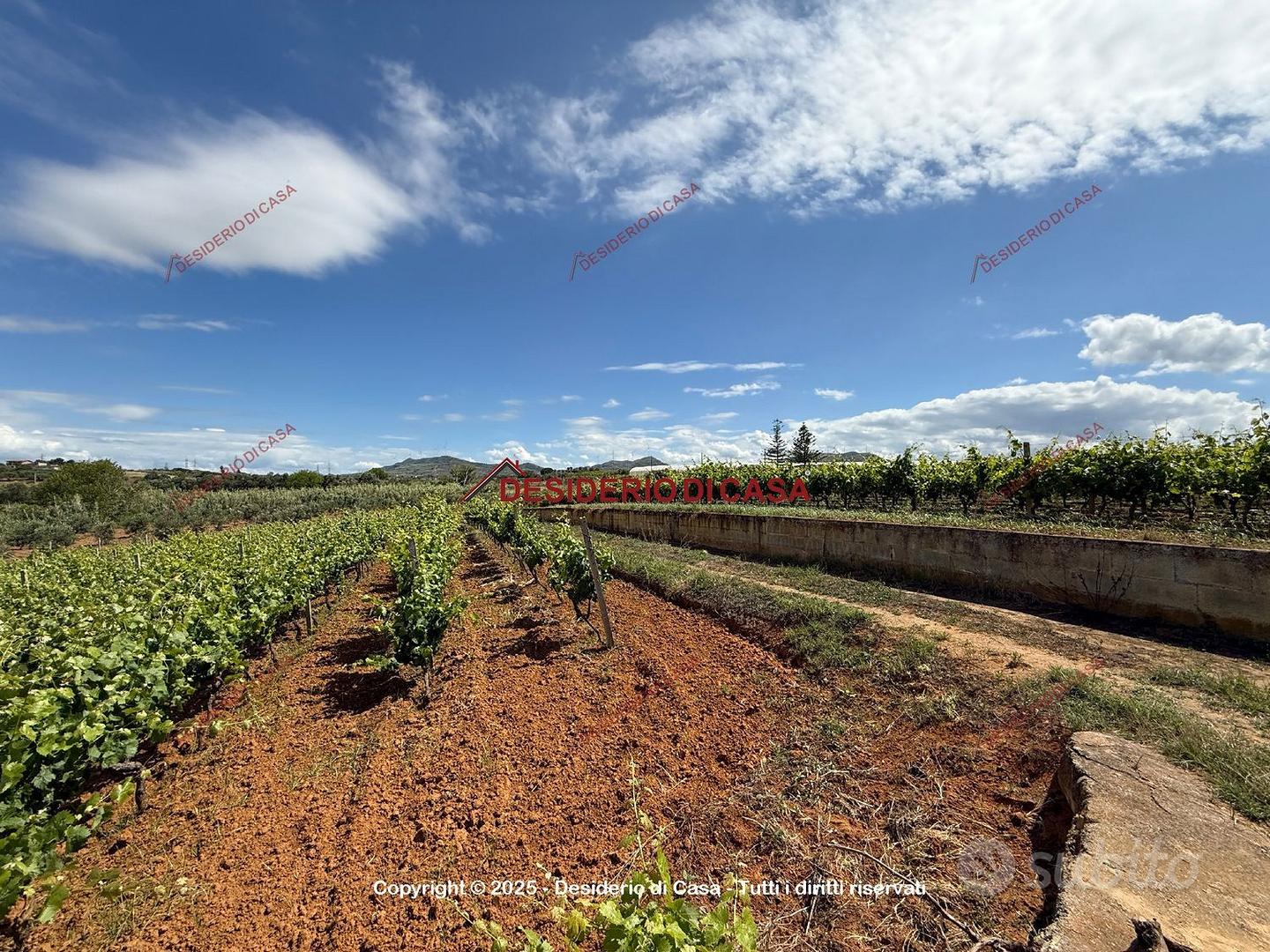 Terreno, Partinico. - Vista 3
