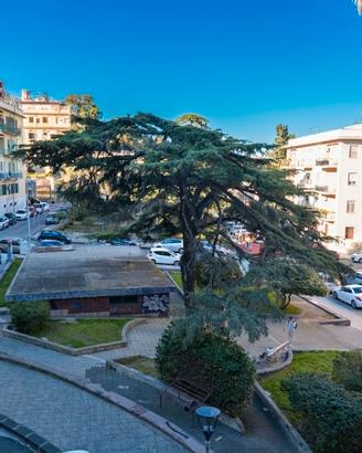 PIAZZA CRISAFULLI - 11 locali con triplo ingresso