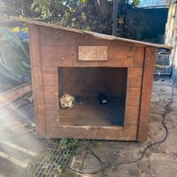 Cuccia cane da esterno