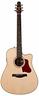 chitarra-amplificata-seagull-051953