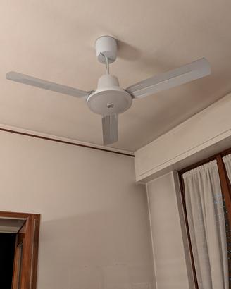 ventilatore