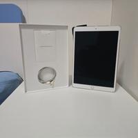 I pad air 256 gb 2019 con caricatore e cover