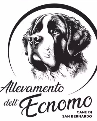 Cuccioli di San Bernardo