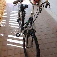 bici elettrica