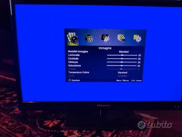 Televisore TV Hisense HD Ready lhd24d33eu