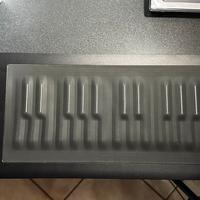 Roli Seaboard Rise 25