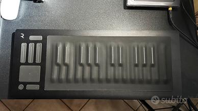 Roli Seaboard Rise 25