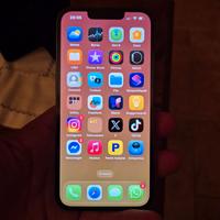 Iphone 13 PRO - 256 gb