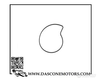 O’Ring pompa acqua Piaggio Beverly / Beverly IE Eu