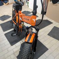 Bicicletta elettrica Engwe