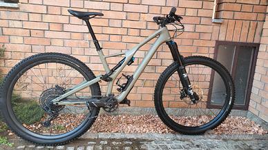 specialized expert carbon 29