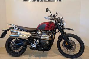 Triumph Scrambler 1200x 2024 km11500