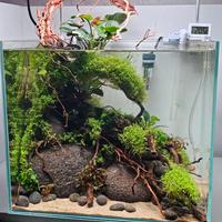 Acquario PROFESSIONALE ( costruito a mano ) 