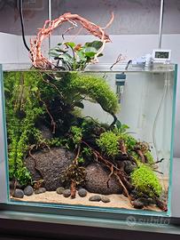 Acquario PROFESSIONALE ( costruito a mano ) 