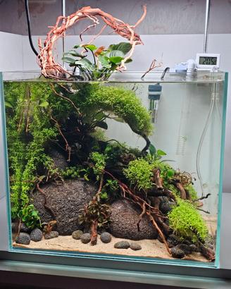 Acquario PROFESSIONALE ( costruito a mano ) 