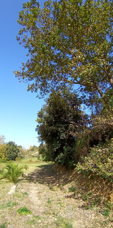 Campagna con casa