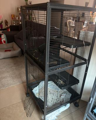 Gabbia piccoli animali (furetto ecc)