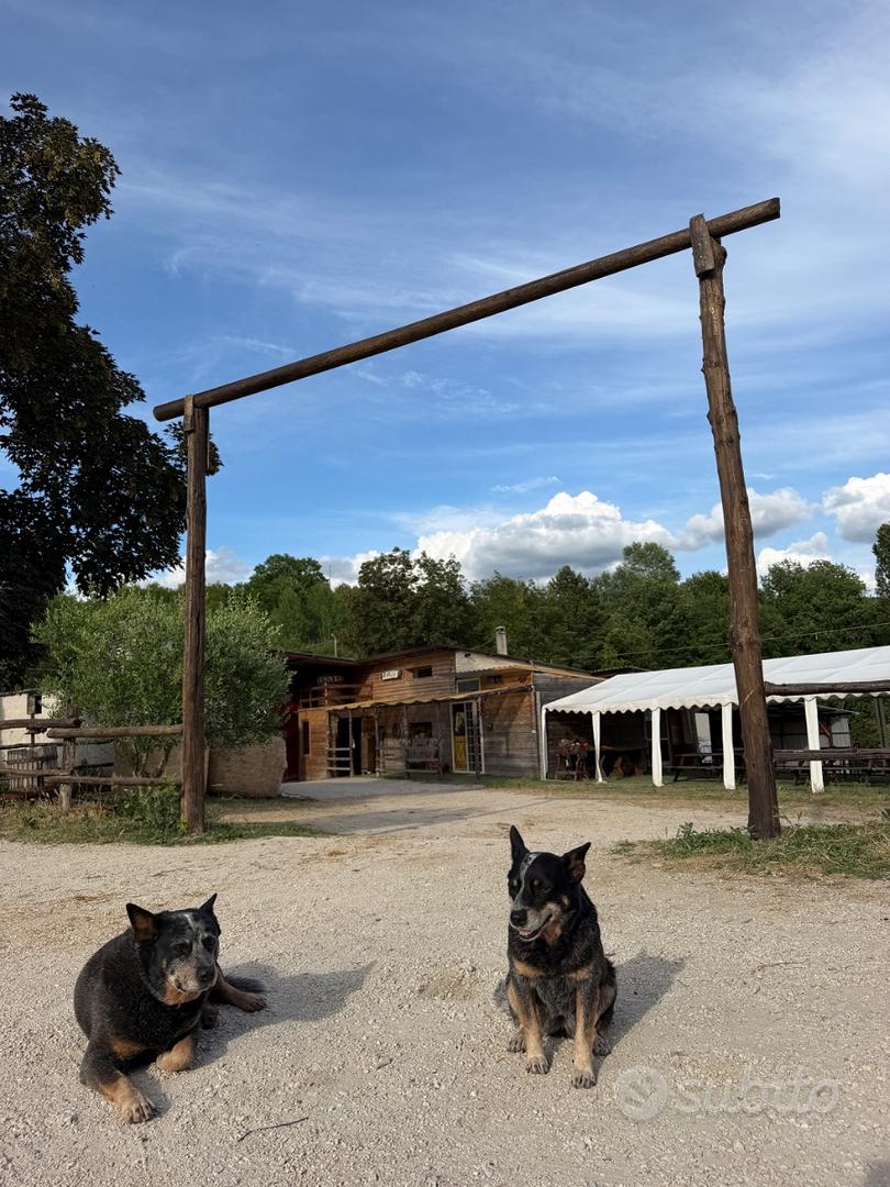 Struttura agrituristica maneggio - Altro
