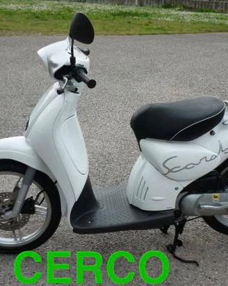 C-E-R-C-O.  Aprilia Scarabeo 50