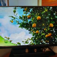 TV led Philips 4K da 49"