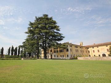 Appartamento in villa del 700