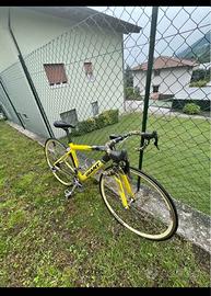 Bicicletta da corsa GIAINT
