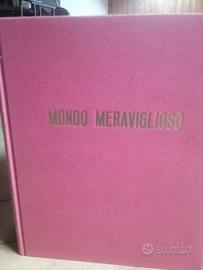 Enciclopedia anno 1960