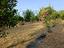 Immagine 18