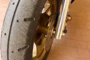 Honda gp dio g’ dash bsv pneumatici