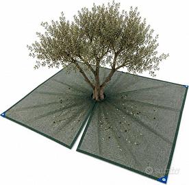 Rete Raccolta Olive con Spacco Occhielli antistrap