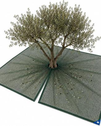 Rete Raccolta Olive con Spacco Occhielli antistrap