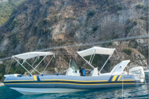 Gommone Marlin 20 - motore Evinrude 150 cv