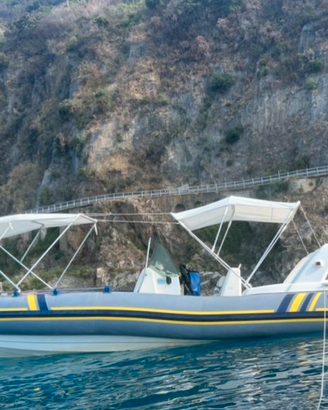 Gommone Marlin 20 - motore Evinrude 150 cv