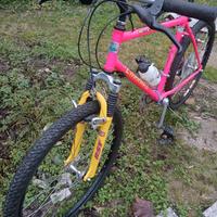 MTB vintage CARRARO