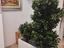 Immagine 4
