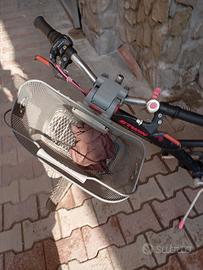 bici ragazza