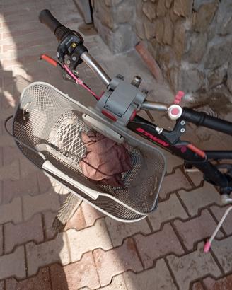bici ragazza