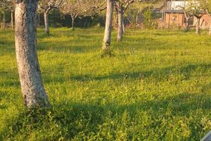 Terreno agricolo pianeggiante