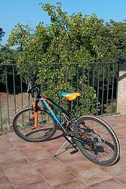 Bicicletta Torpado Viper Cross 24