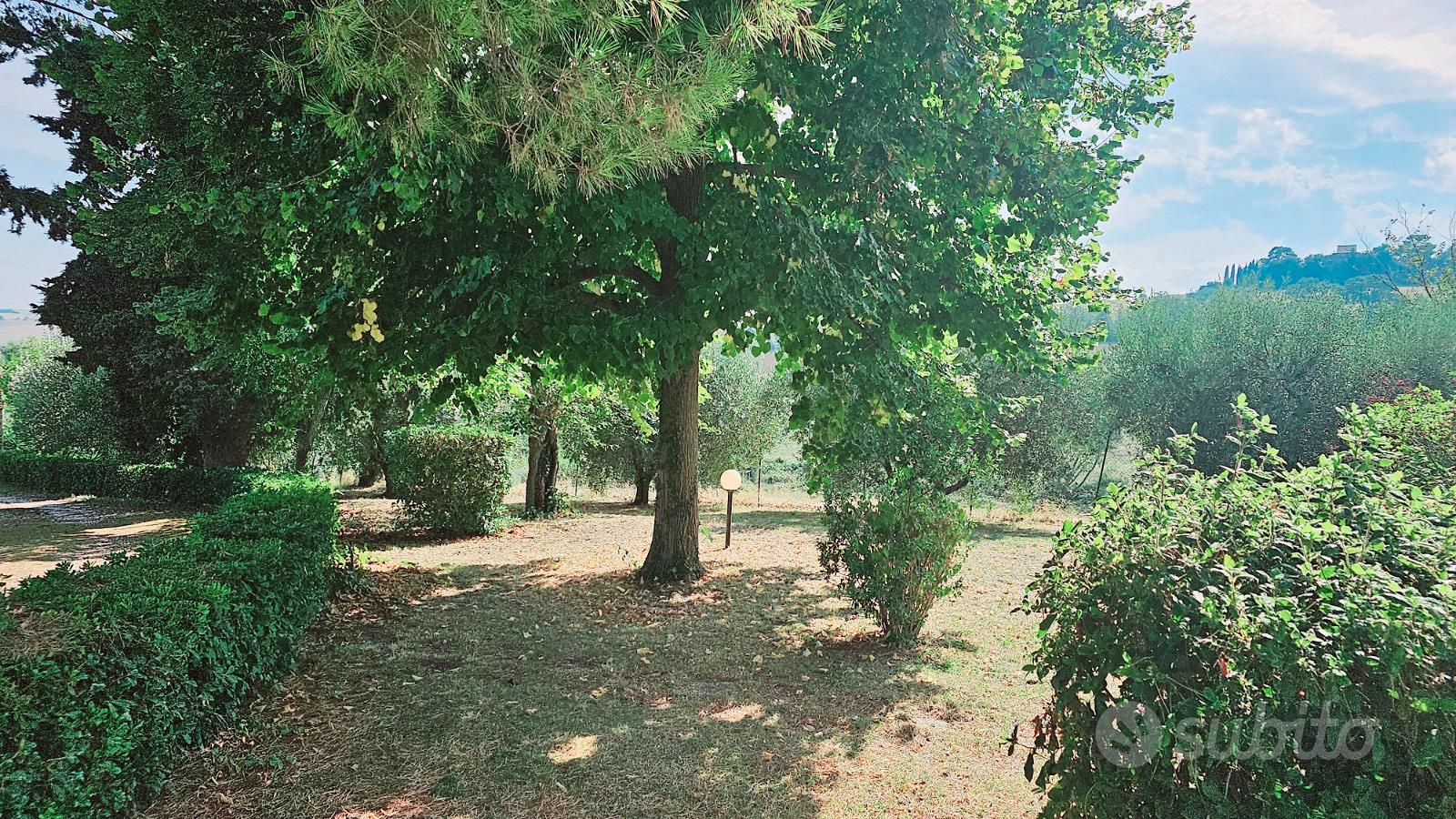 Casolare di campagna con ampio giardino - Vista 4
