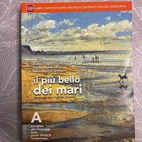 Libro scolastico usato