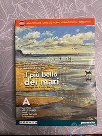 Libro scolastico usato