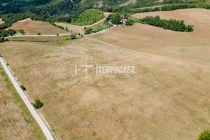 TERRENO AGRICOLO