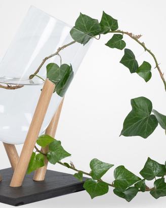 Design per la casa, cucina, tavola, ecc....